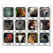 Farm Animal Face Labeling Task for Autism